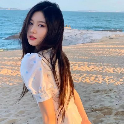 长毛狗